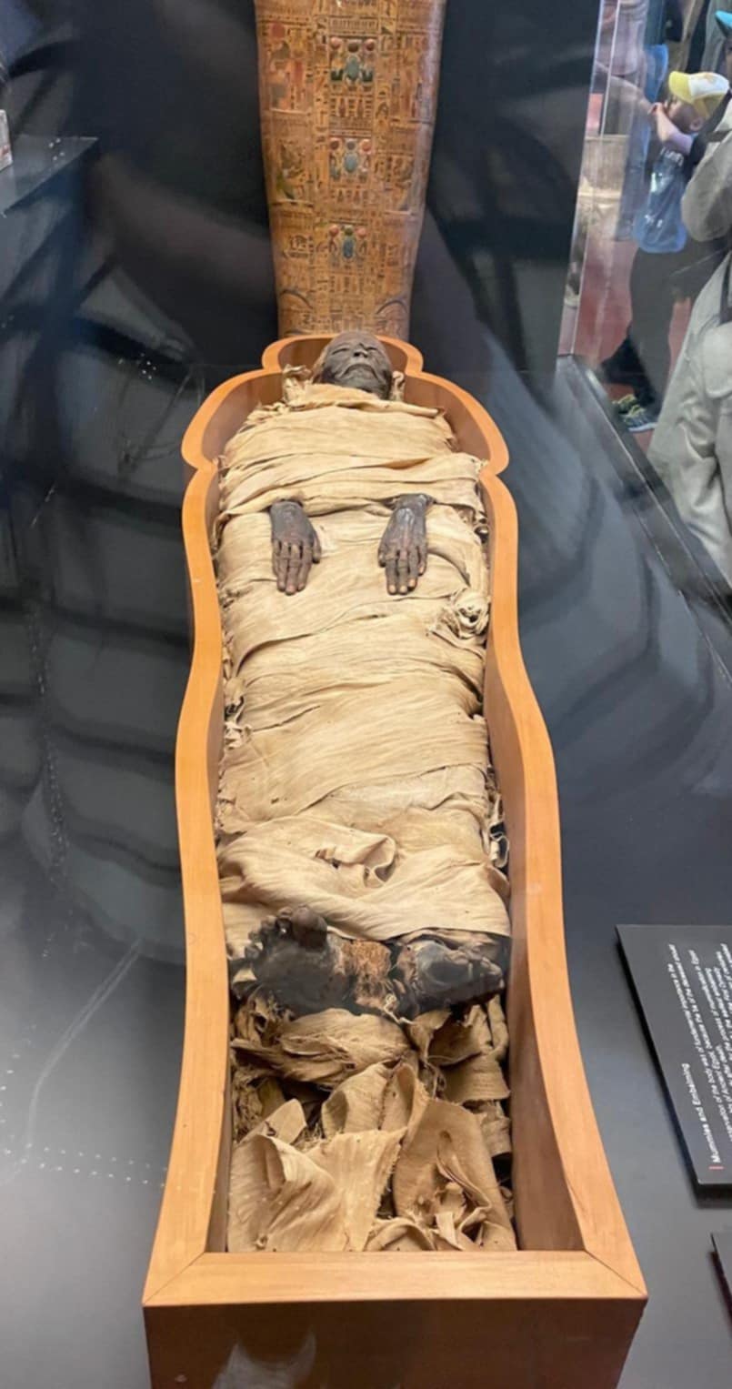 La momie d'Amenardis, musée Grégorien égyptien