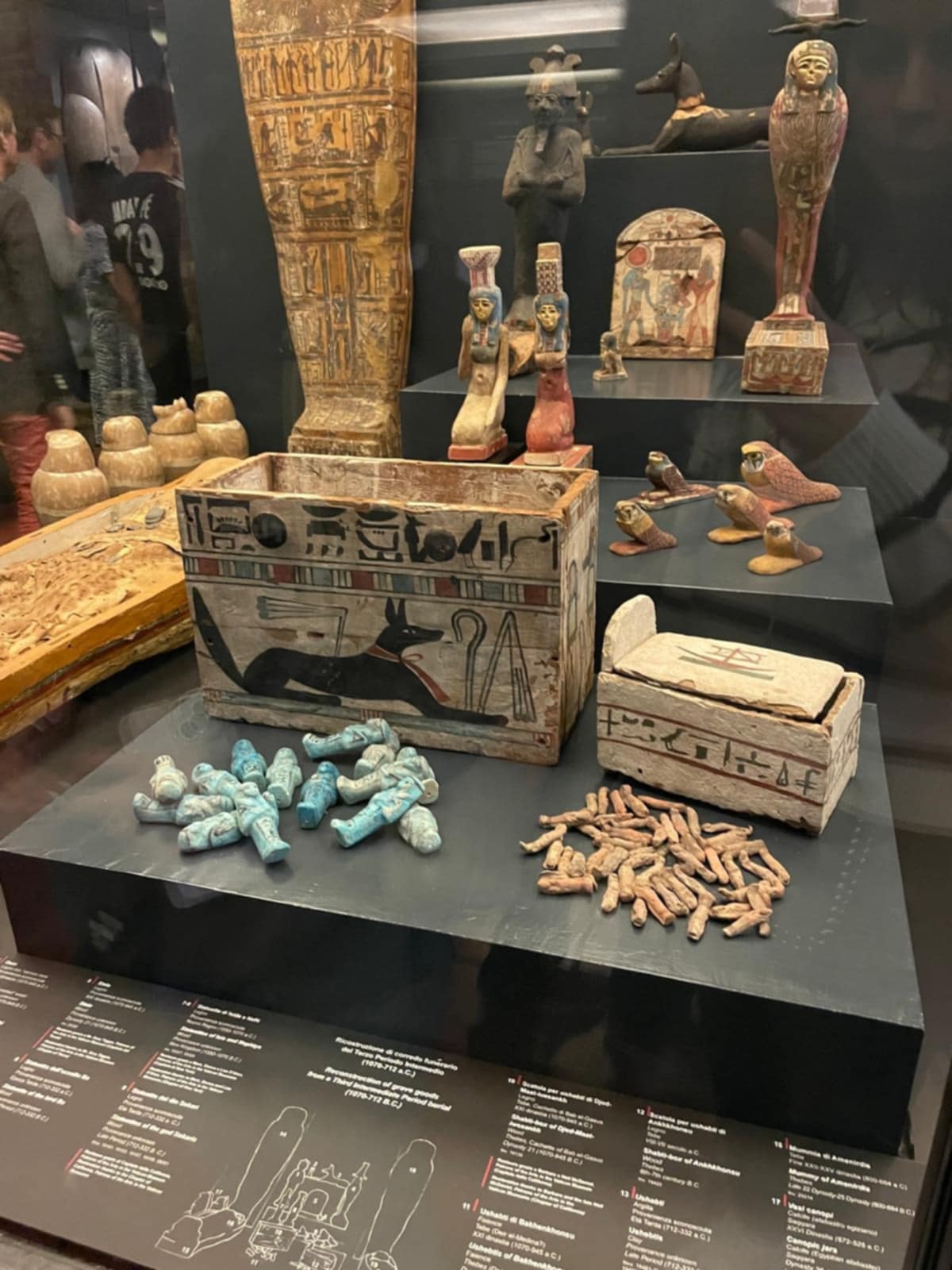 Sarcophage de chat et autres objets, musée Grégorien égyptien