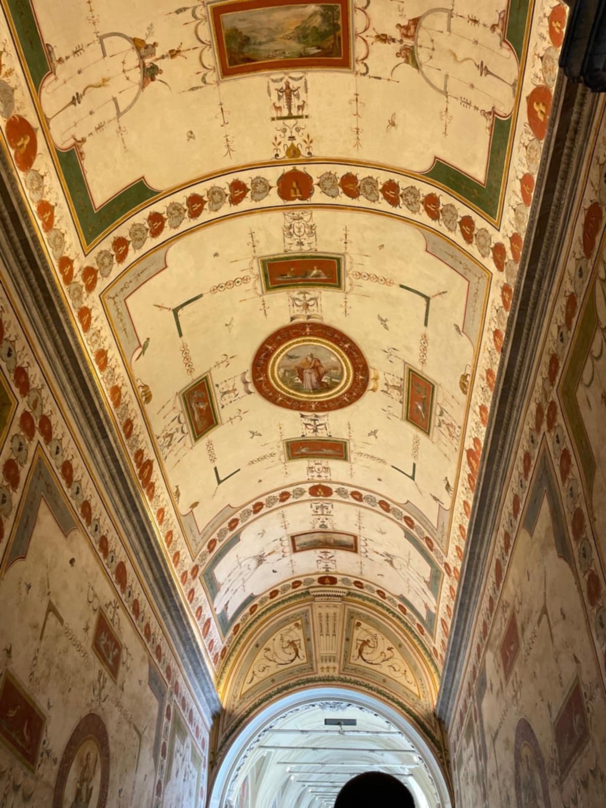 Plafond musées du Vatican